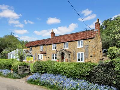 Click to view more details